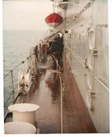 tn_morning scrub down